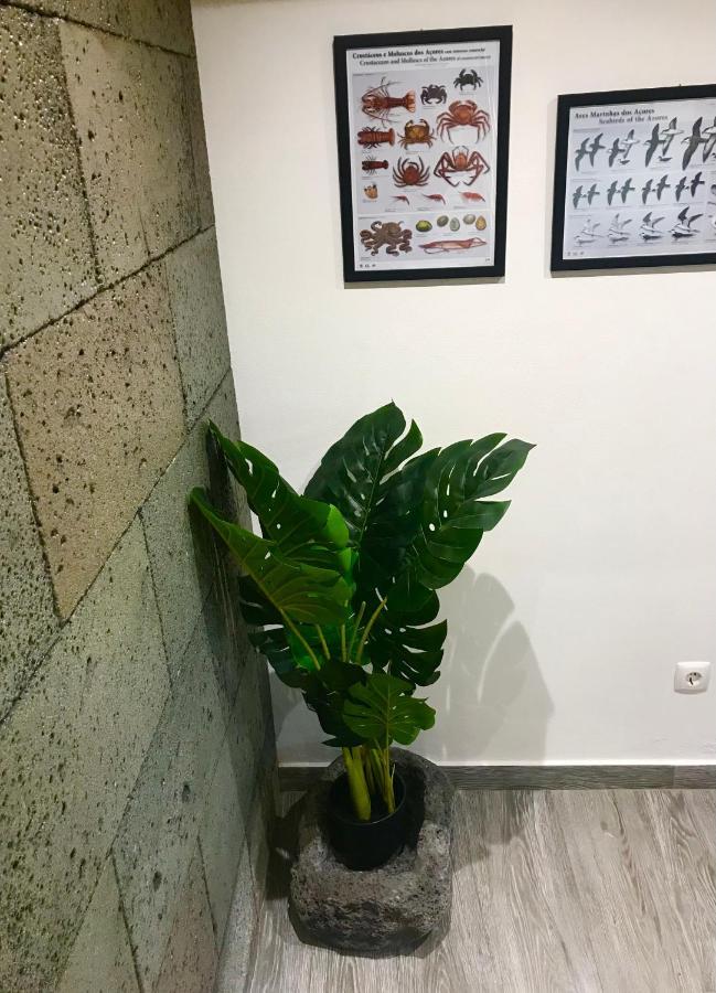 Adega Da Prainha Villa Prainha  Eksteriør billede